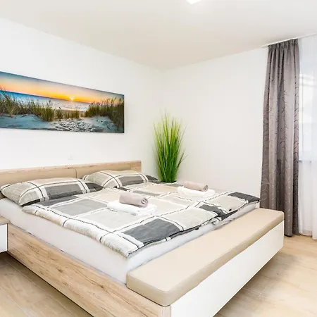 Palms - A3 *