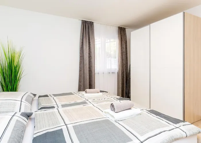 Palms - A3 * Medolino